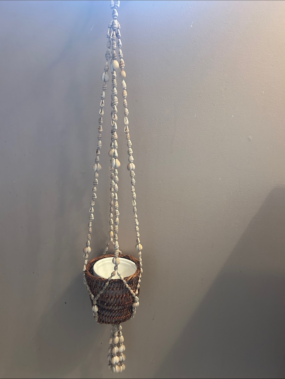 Seashell hanging planter